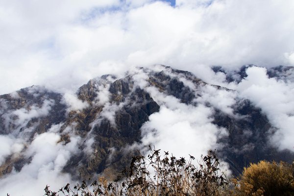 Comment découvrir les traditions culinaires de la région de la Rioja, Espagne?